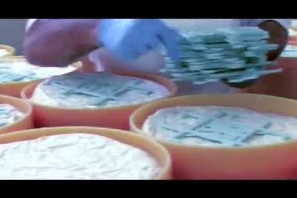 Cum se prepară brânza gorgonzola