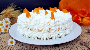 Tort de inghetata cu caise si ciocolata alba